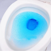10块装蓝泡泡环保清新无异味强效杀菌蓝泡泡洁厕宝