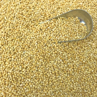 鸟食黄谷子/带壳小米/虎皮牡丹玄凤鹦鹉/文鸟/鸟粮小鸟饲料 1斤