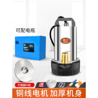绿一直流潜水泵12V24V48V60V伏电瓶车小型水泵电动车抽水泵农用抽水机
