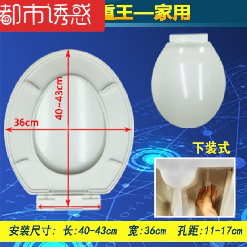 马桶盖通用老式加厚坐便盖板缓降马桶盖子快拆安装座便盖图片