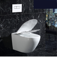 入墙式隐藏式墙排马桶挂壁收纳可坐厕所用具静音坐垫降低噪音用具单挂便器GJ-150185mm都市诱惑