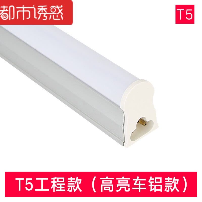 LED灯管T5一体化T8日光灯长条支架家用灯带照明T4电光管宿舍全套USB宿舍灯管0.28白都市诱惑图片