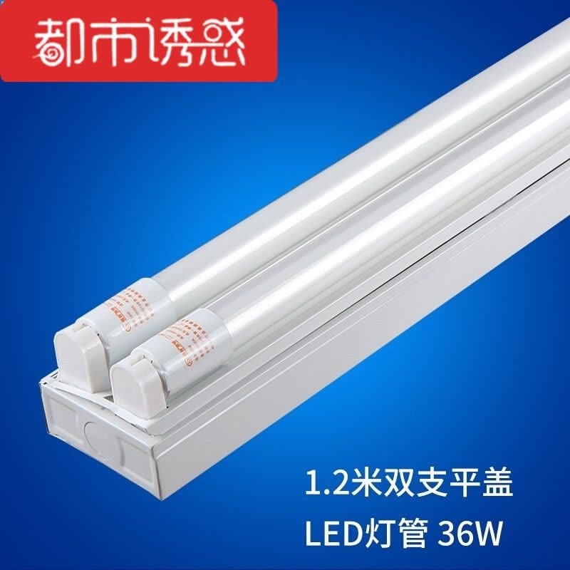 T8LED日光灯全套一体化支架灯40W超亮节能灯单双管带罩应急灯装置都市诱惑图片