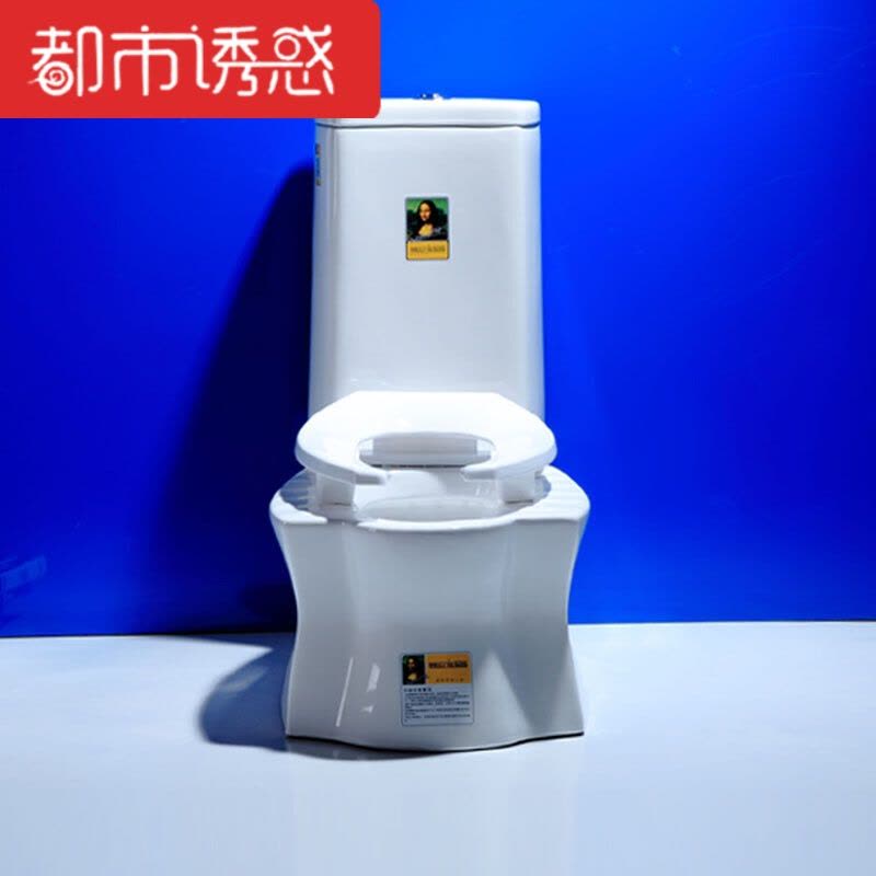 家用抽水马桶双用蹲坐双用坐便器两用马桶蹲坐可蹲可坐两用马桶白色雪花釉脲醛盖板都市诱惑图片