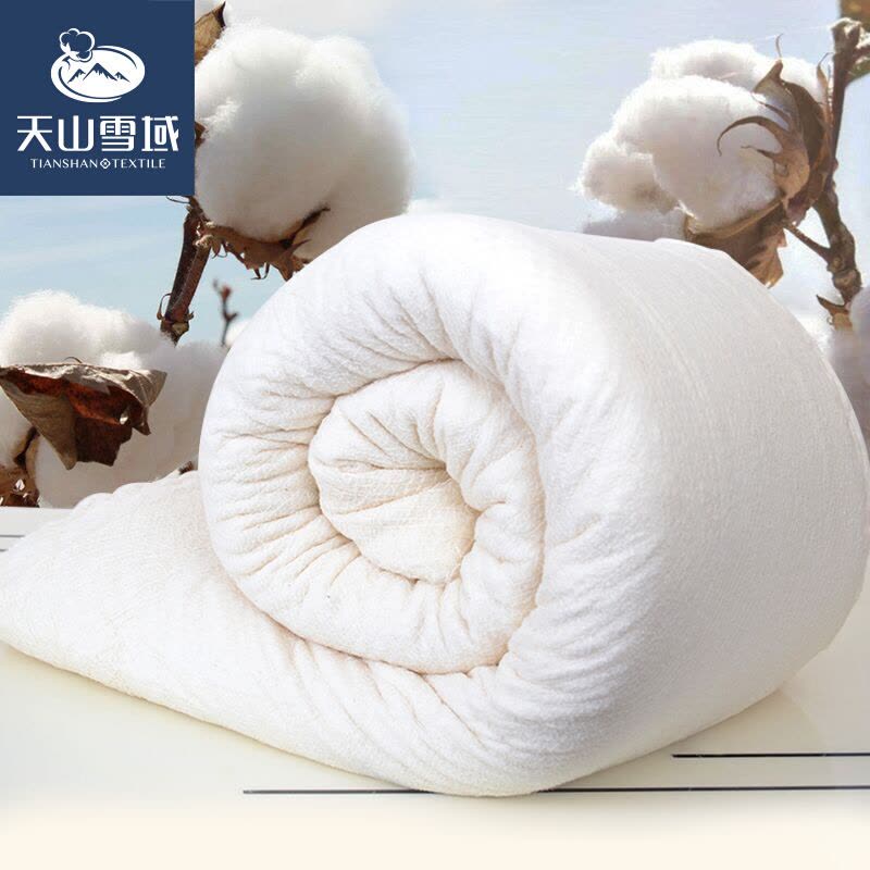 天山雪域 （tianshanxueyu） 全棉冬被棉花被芯新疆棉被棉絮棉花被子学生宿舍垫絮有网棉胎4-6斤常规尺寸图片