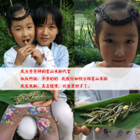 康顺堂正宗米斛新鲜条 霍山石斛鲜条米斛50g 5年仿野生米斛苗新鲜条非铁皮石斛枫斗滋补中药 正宗霍山石斛 米斛