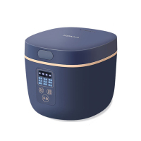 康佳 (Konka)小型电饭煲 KRC-RS1 多功能迷你电饭锅小2人家用智能2升煮饭锅1-3人用