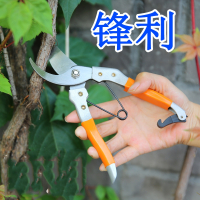 古达修枝剪树枝剪刀枝剪修剪水果园艺家用园林果剪枝果树花剪