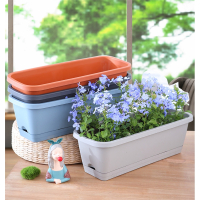 阿斯卡利阳台种菜盆种菜家庭阳台蔬菜长方形塑料长条花盆槽盆栽种植盆