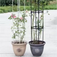 金铂喜园艺藤本月季绿萝爬藤架植物U型包塑钢管花支架支柱玫瑰盆栽花架
