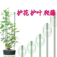 金铂喜居爬藤架子花支架月季花架植物盆室内花卉支撑杆园艺铁线莲攀爬