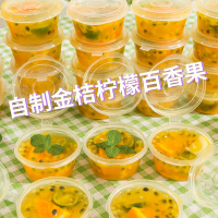 古达小盒子百香果分装保鲜盒葱花姜蒜密封专用冰箱冷冻收纳