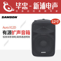 美国 山逊 SAMSON Auro X12D 12寸有源扩声音箱/只