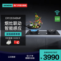 西门子 ER92B3MBMP