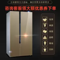 西门子 KA96FSG0TI 变频风直冷混冷无霜对开门569升零度保鲜冷藏展示柜