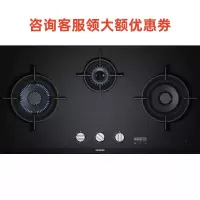 西门子 ER9PM331MQ 燃气灶 三眼灶 玻璃面板(上海专用)蒸饭柜