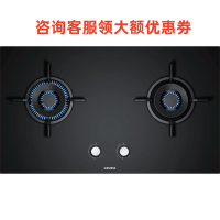 西门子ER8MA23EM大火力嵌入式家用燃气灶双灶天然气灶蒸饭柜
