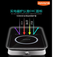 Joyoung 九阳C21-SC100