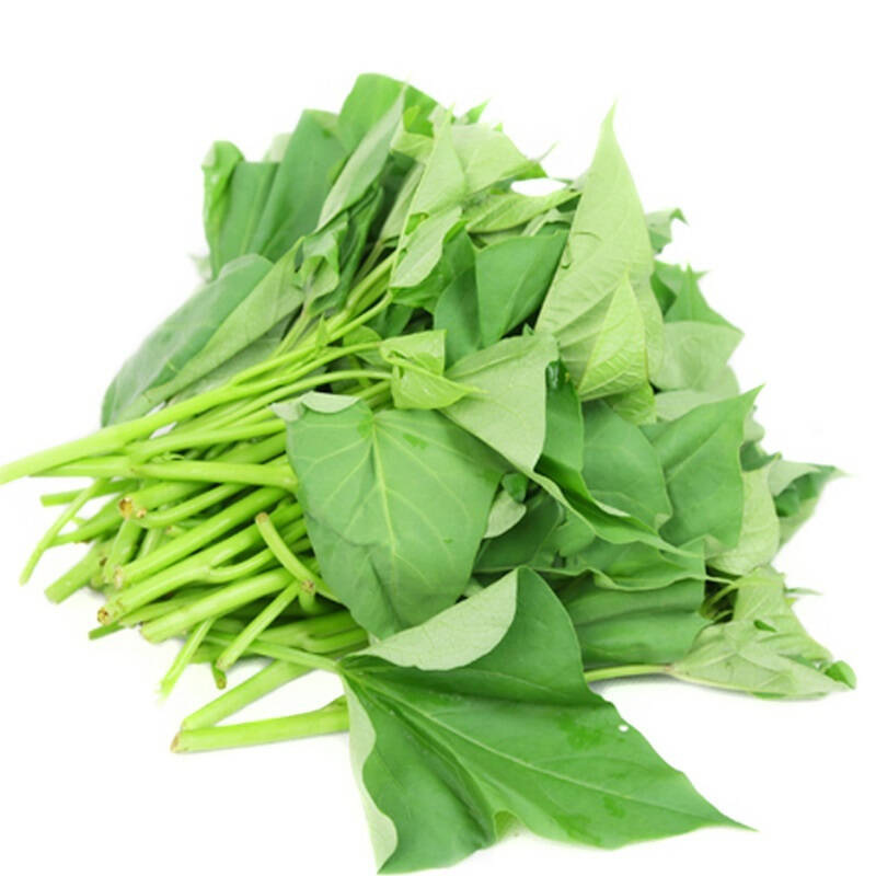农聚源 农聚源 红薯叶 3斤 新鲜蔬菜as【价格 图片 品牌 报价】-苏宁