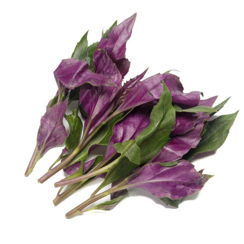 农聚源观音菜500g观音菜紫背天葵紫背菜血皮菜新鲜蔬菜