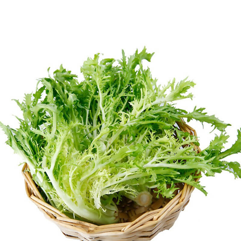 农聚源黄心苦叶500g九芽沙拉菜苦菊嫩黄心沙拉菜新鲜蔬菜as