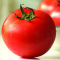 农聚源 西红柿 1斤 番茄 新鲜蔬菜AS【非有机】