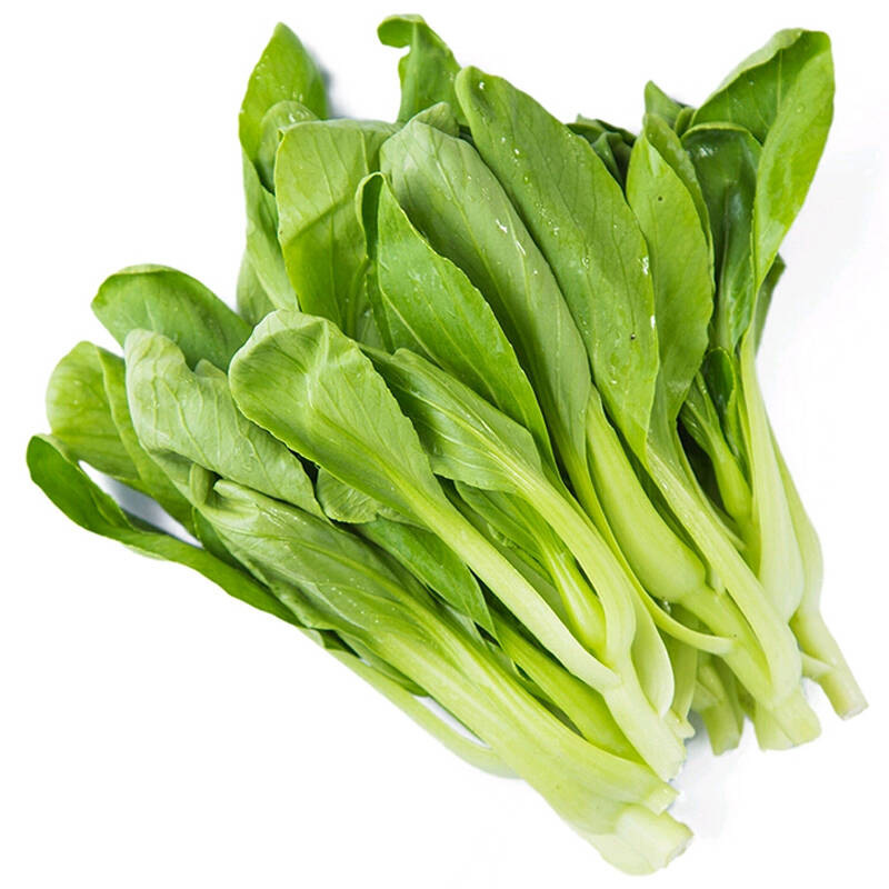 农聚源鸡毛菜3斤青菜新鲜蔬菜as