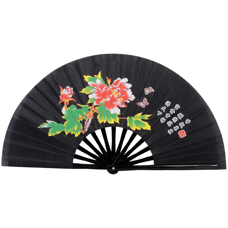 太极扇功夫表演双扇广场舞响扇