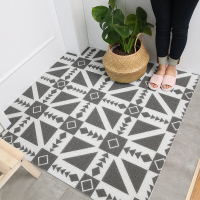 ins北欧简约地垫地毯脚垫家用入户进口玄关塑料丝圈防滑定制(请先与客服确认再下单)