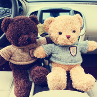 韩版卡通可爱泰迪熊竹炭包活性炭公仔新汽车除甲醛去异味车内摆件（请先与客服确认再下单）