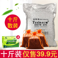 纳米活矿石晶去除甲醛强力活性炭包新房甲醛异味纳净石车用除甲醛(请先与客服确认再下单)