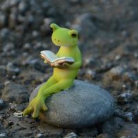 田园小青蛙树脂摆件创意微景观可爱动物家居饰品礼物送男生（请先与客服确认再下单）
