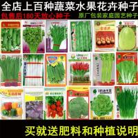 四季蔬菜花卉种子阳台易种菜家庭园艺水果盆栽草莓辣椒韭菜籽香葱（请先与客服确认再下单）