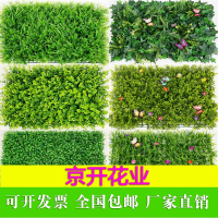 红姐仿真植物墙人造草坪加密人工地毯假草皮带花田园花绿植墙装饰（请先与客服确认再下单）
