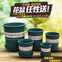 环球加仑花盆多肉花盆塑料树脂圆形创意花卉盆栽绿萝大号花盆托盘（请先与客服确认再下单）