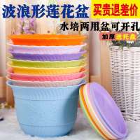 特大号绿萝花盆波浪花边莲花圆形盆栽绿植树脂塑料地面花盆(请先与客服确认再下单)