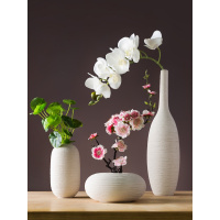 酒柜装饰品摆件家居饰品室内客厅电视柜创意家装房间书柜小摆饰品（请先与客服确认再下单）