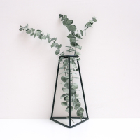 ins装饰北欧真仿真永生花尤加利叶干花木棉干花花束家居摆设（请先与客服确认再下单）