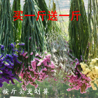 勿忘我水晶草大促销买按斤鲜花干花装饰进货基地直接货花束真花（请先与客服确认再下单）