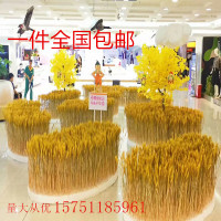 麦穗 干花麦穗 干枝稻穗大量 农家乐拍电影道具花 小麦大麦（请先与客服确认再下单）