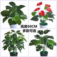 仿真树财树红掌滴水观音绿萝植物盆景室内盆栽客厅假树塑料装饰（请先与客服确认再下单）