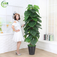 假树仿真滴水观音大型植物盆栽摆设室内装饰落地绿植塑料假花盆景（请先与客服确认再下单）