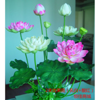 仿真莲花荷花荷叶花束盆景 塑料 供佛莲花 家居水池造景装饰 逼真（请先与客服确认再下单）