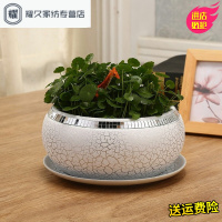 永德吉水仙花盆陶瓷无孔盆铜钱草绿萝碗莲睡莲水培容器摆件植物多肉盆