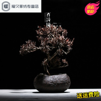 永德吉粗陶 多肉花盆 复古创意小花器 陶瓷大口径 水培植物客厅摆件NQ2541