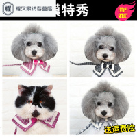 永德吉小狗狗牵引绳狗链子项圈小型犬泰迪遛狗绳子法斗猫咪幼犬宠物用品