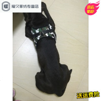 永德吉狗狗牵引绳中型犬泰迪边牧柯基背心式背带狗链子项圈大型犬狗绳子