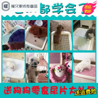 永德吉爱丽丝狗狗厕所便便器宠物便盆尿尿盆小型犬小号泰迪用品自动冲水