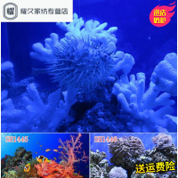 永德吉定做3d高清鱼缸水族箱海洋珊瑚造景背景纸画背景板图装饰书法定制