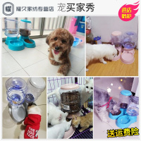 永德吉宠物饮水器自动喂水喂食器猫咪饮水机喝水器泰迪狗碗食盆狗狗用品